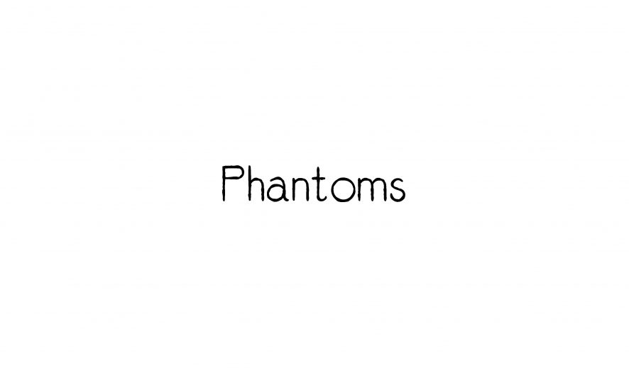 Phantoms